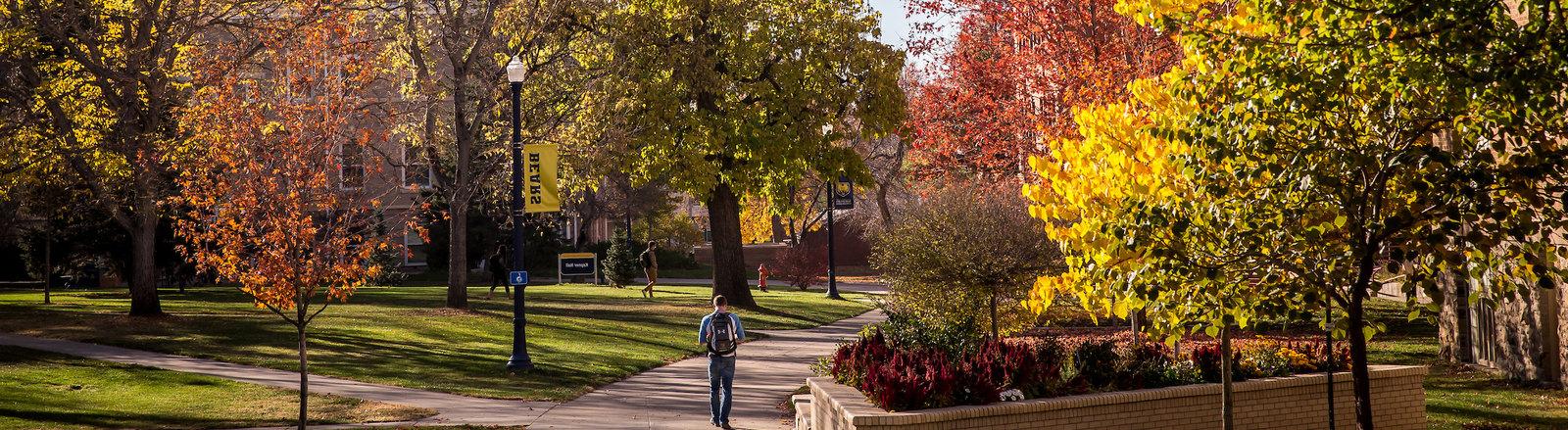 Fall trees on campus